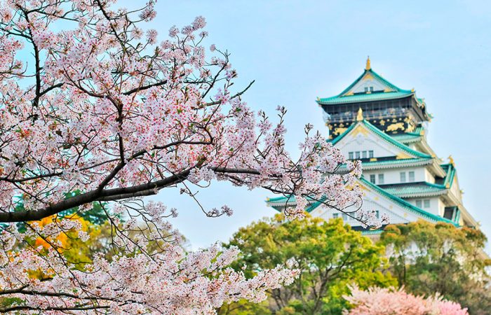 Japón